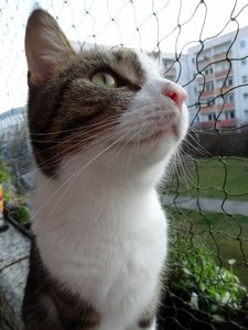 DSC03626 (479x640).jpg