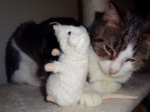 DSC03194 (640x480).jpg