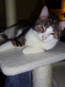 DSC03184 (480x640).jpg