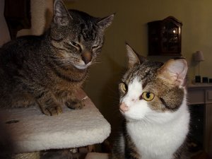 DSC03160 (640x480).jpg