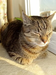 DSC03357 (480x640).jpg