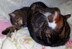 DSC03401 (640x441).jpg