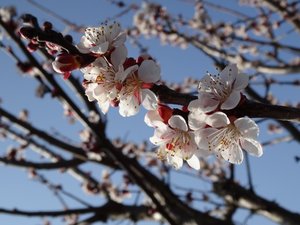 DSC03513 (640x480).jpg