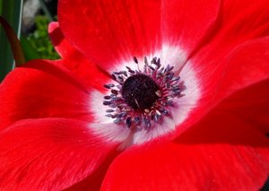 DSC03501 (640x454).jpg