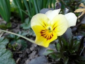 DSC03484 (640x480).jpg