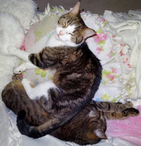 DSC03398 (615x640).jpg