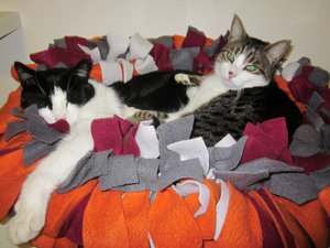 butziebettchen 001.JPG