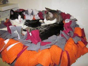 butziebettchen 005.JPG