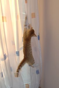 CIMG2771.1.JPG CIMG2771.1.JPG