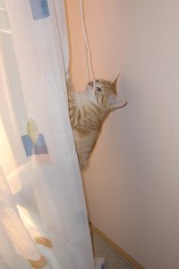 CIMG2772.1.JPG CIMG2772.1.JPG