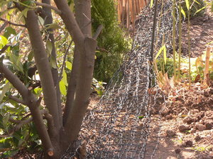 Fertigstellung Katzenzaun 14.3.2014 002.JPG