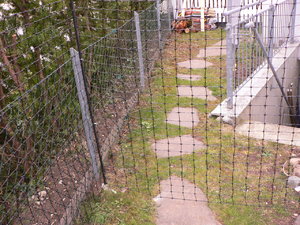 Fertigstellung Katzenzaun 14.3.2014 013.JPG