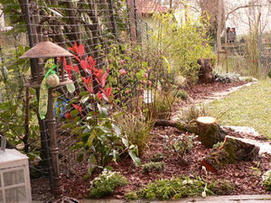 Katzengarten links, fertig 001.JPG