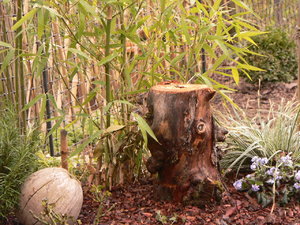 Katzengarten links, fertig 002.JPG