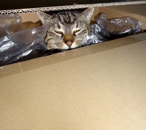 DSC01672 (640x568).jpg