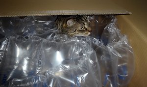 DSC01674 (640x377).jpg