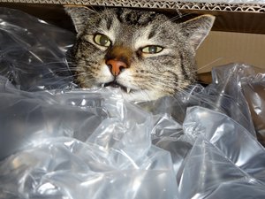 DSC01675 (640x480).jpg