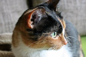 IMG_1301.JPG IMG_1301.JPG