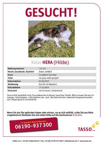 TASSO_Suchplakat_Hera 2.jpg