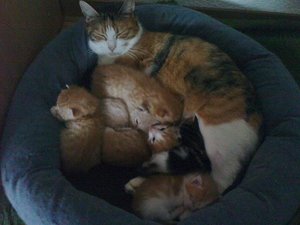 167597_181559765197857_3616114_n.jpg 167597_181559765197857_3616114_n.jpg