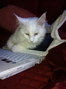 2013-12-31 13.45.30.jpg