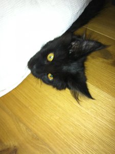 2012-12-27 12.01.42.jpg