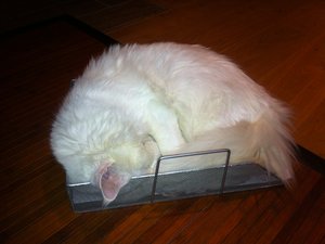 2014-01-03 19.10.00.jpg