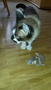 2014-03-28 14.30.13.jpg