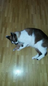 2014-03-28 14.28.48.jpg