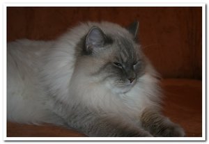 2013-01-09 08.01.2013_001Querin.jpg