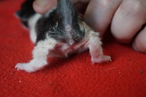 DSC00863 [640x480].JPG