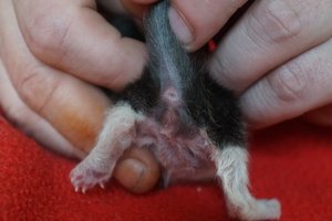 DSC00864 [640x480].JPG