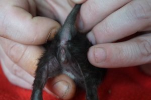 DSC00865 [640x480].JPG