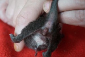 DSC00866 [640x480].JPG