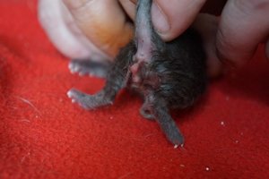 DSC00867 [640x480].JPG