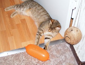 Geburtstagsvorbereitungen März20145.jpg