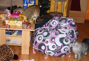 Geburtstagsvorbereitungen März20148.jpg