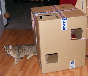 Geburtstagsvorbereitungen März201410.jpg