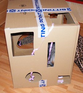 Geburtstagsvorbereitungen März201411.jpg