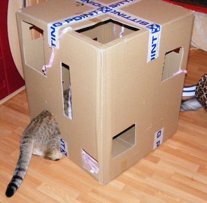 Geburtstagsvorbereitungen März201412.jpg