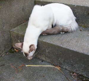 was ist das denn.jpg