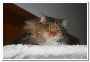 2013-01-20 20.01.2013_001suse.jpg