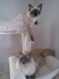 2014-03-27 07.43.42.jpg