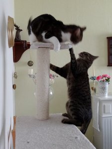 DSC04853 (480x640).jpg