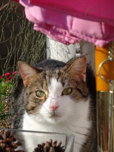 DSC04787 (2) (480x640).jpg