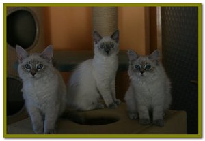 2013-07-21 21 07 2013_001 (2).jpg