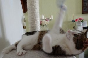 DSC05111 (640x420).jpg