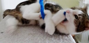 DSC05126 (640x308) (2).jpg