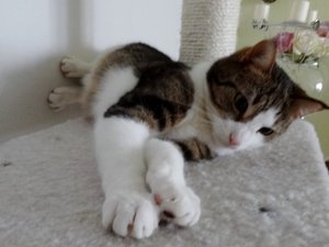 DSC05102 (640x480).jpg