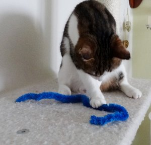 DSC05137 (640x614).jpg